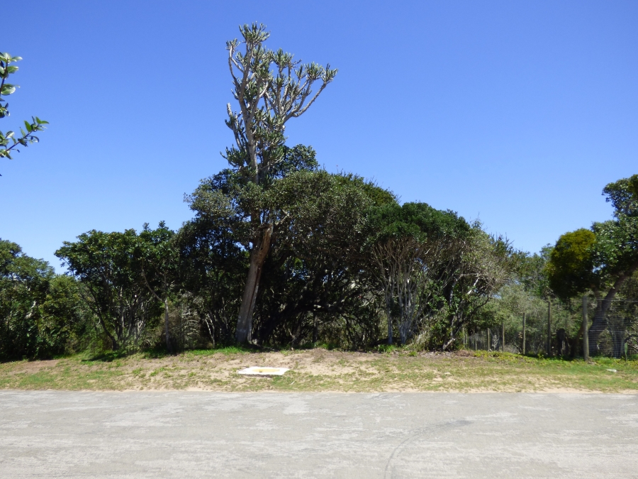 0 Bedroom Property for Sale in Kleinemonde Eastern Cape